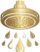 Citadel Emblem